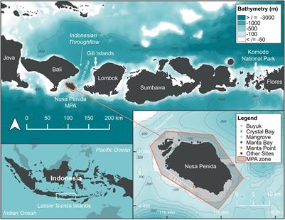 Contrasting Habitat Use and Population Dynamics of Reef Manta Rays Within the Nusa Penida Marine Protected Area, Indonesia